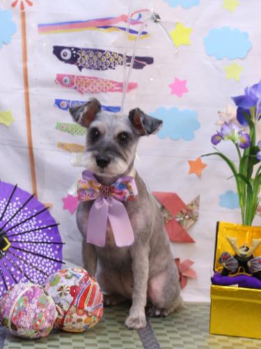 20240501ぽんずちゃん